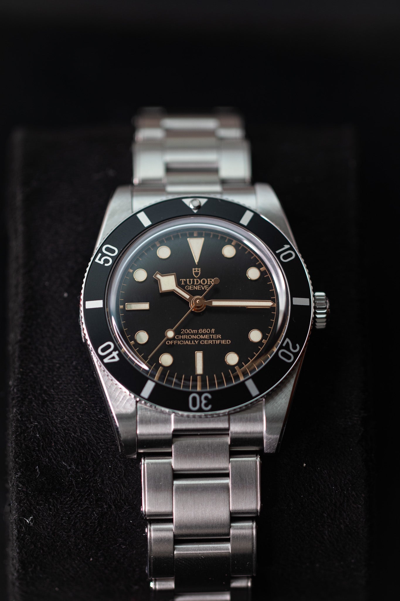 Tudor Black Bay 54 M79000N-0001 