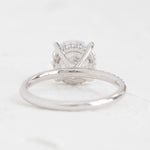 Belle | Round Moissanite 