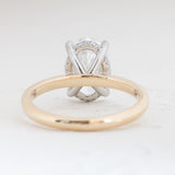 Belle | Oval Lab Diamond 
