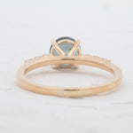 Maribelle | Sapphire 