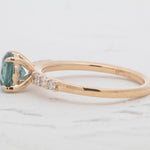 Maribelle | Sapphire 